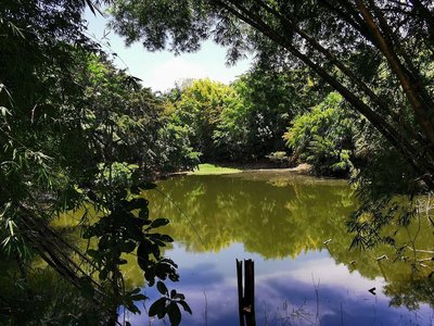 🏞️ 텐노 공원(텐노 코엔)